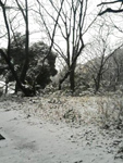 e0015195_011547.jpg