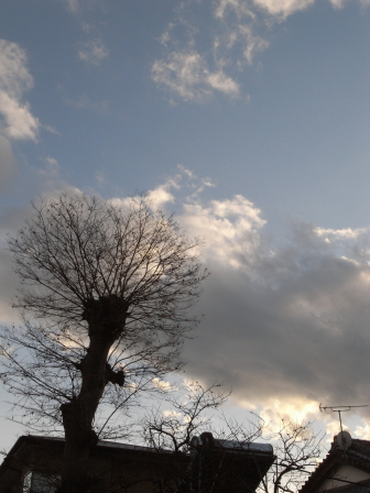 c0158597_2165924.jpg