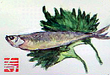 f0008597_1871435.jpg