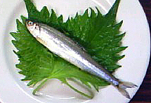 f0008597_187232.jpg