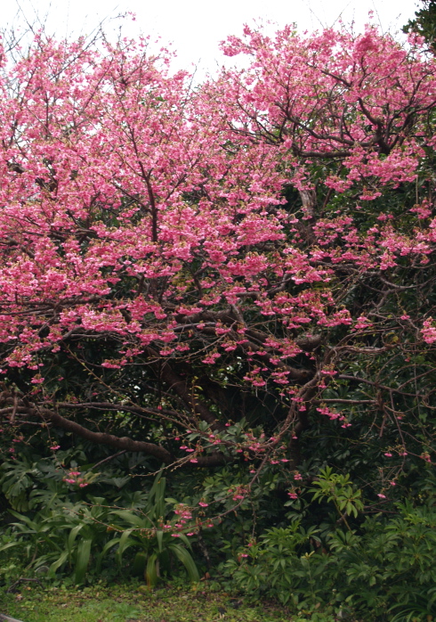 e0089001_23234822.jpg