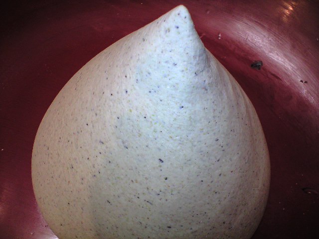 d0000607_114372.jpg
