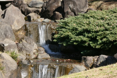 e0029307_21333949.jpg