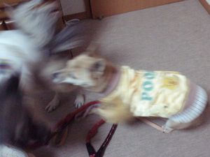 b0008709_13193170.jpg
