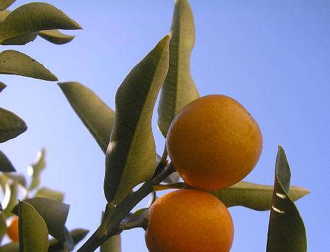 f0008510_1458791.jpg
