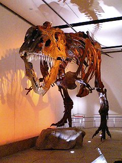 e0101411_18123195.jpg