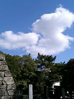 e0101411_1824135.jpg