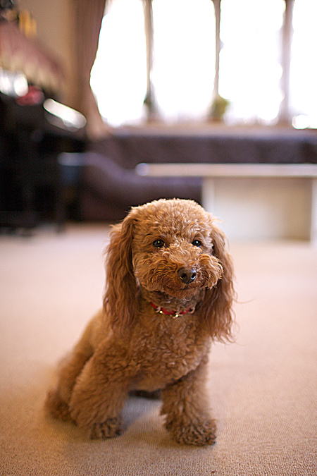 f0014815_21454787.jpg