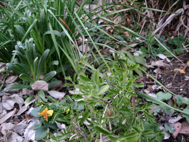f0128316_9331466.jpg