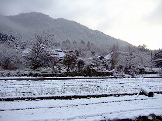 b0056924_1223925.jpg