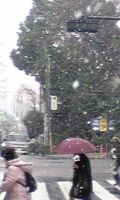 c0038524_23191189.jpg