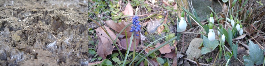 b0044825_9265076.jpg