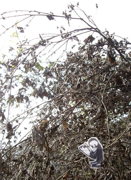 f0128527_14343773.jpg