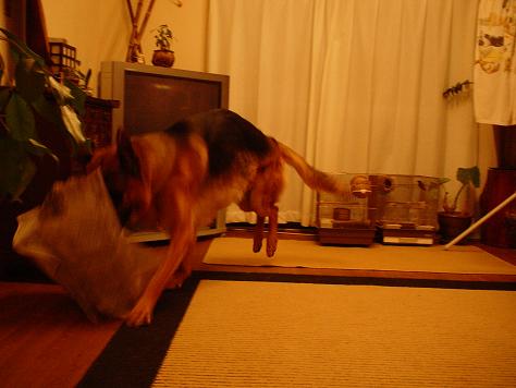 f0088731_117829.jpg