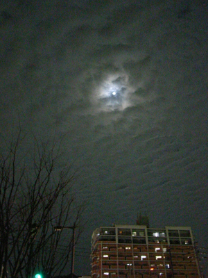 a0097735_063062.jpg