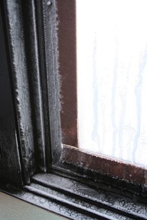 f0131939_1575174.jpg