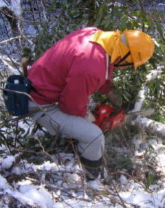 e0049740_1810184.jpg