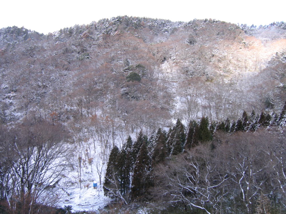 e0049740_1813218.jpg