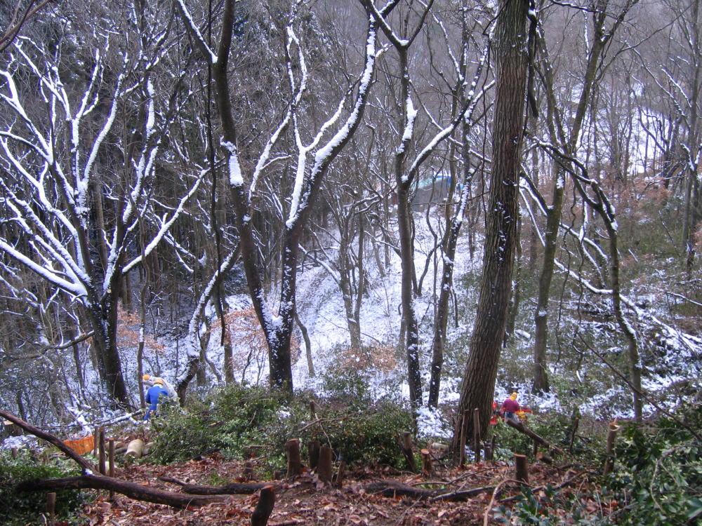 e0049740_18332194.jpg