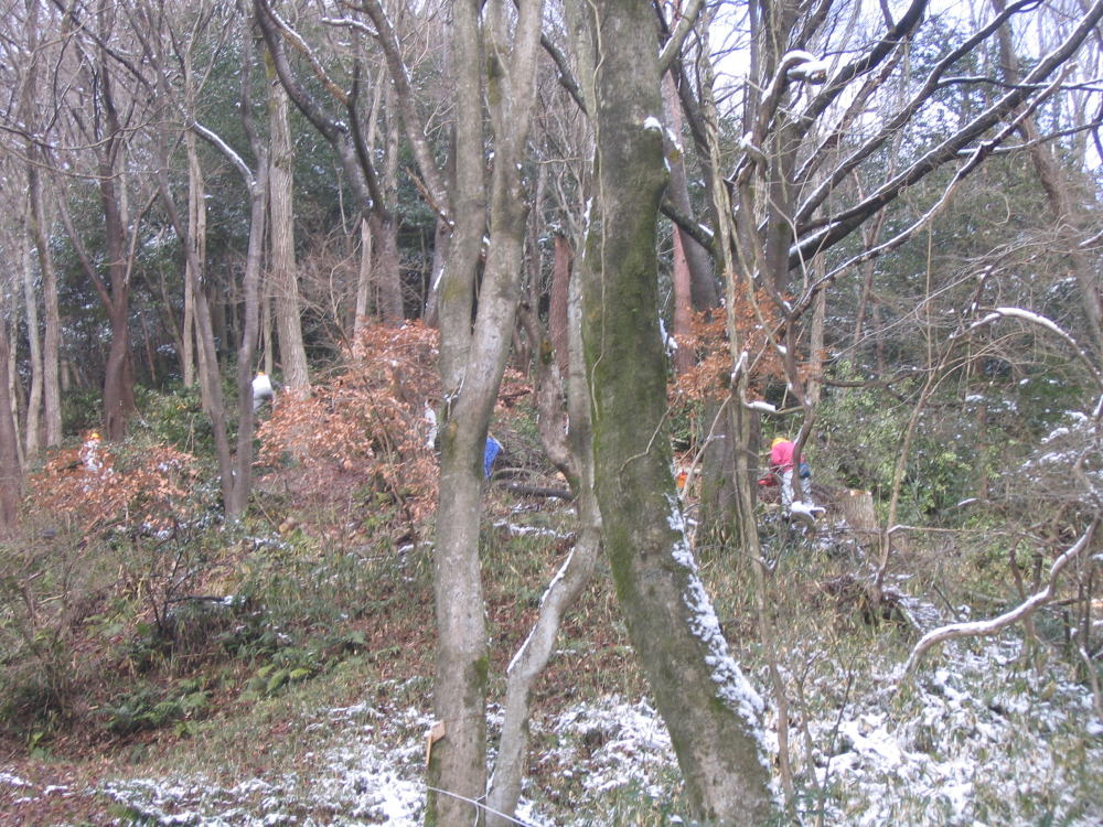 e0049740_1833245.jpg