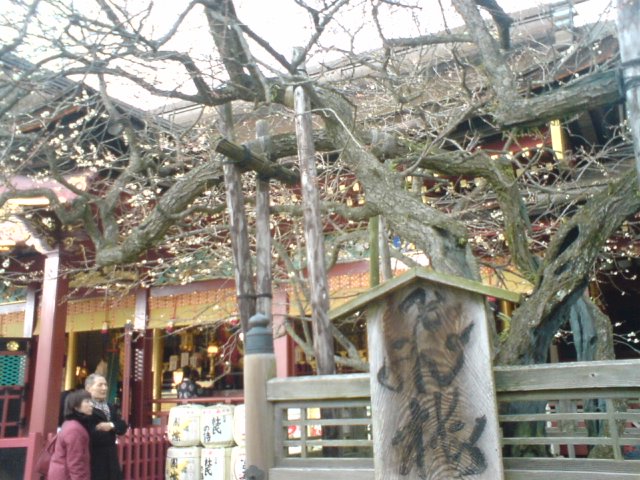 c0029442_2251362.jpg