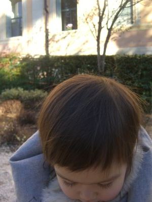 e0108244_7355621.jpg