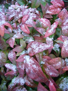e0100046_21552120.jpg