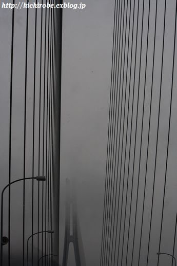 f0039446_16521427.jpg