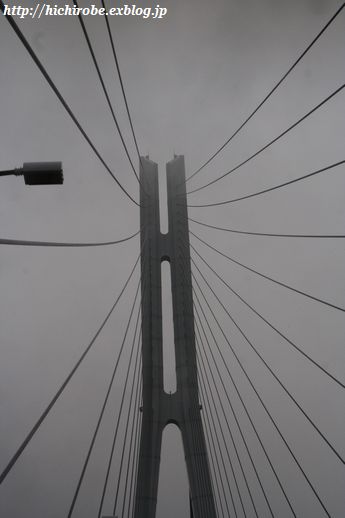 f0039446_1652351.jpg
