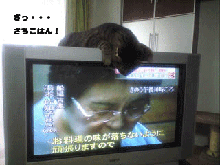 f0116546_23572320.gif