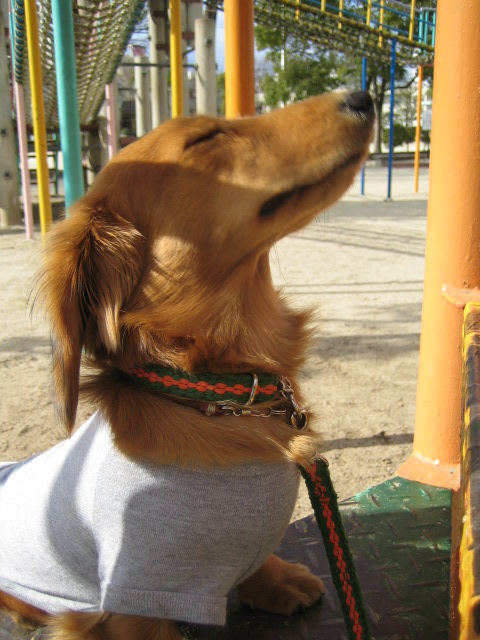 b0070950_2285890.jpg