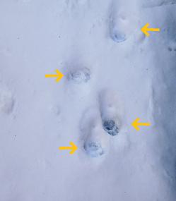d0139352_23573242.jpg