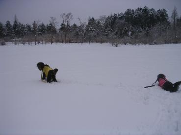 f0104554_12564156.jpg