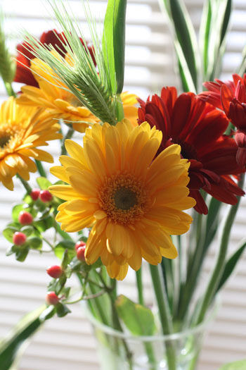 f0009457_20122147.jpg