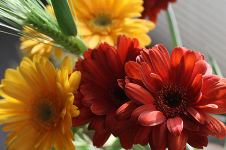 f0009457_2012798.jpg