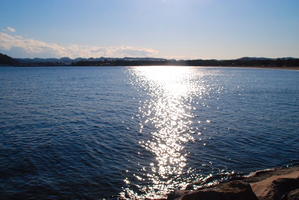 e0020166_730183.jpg