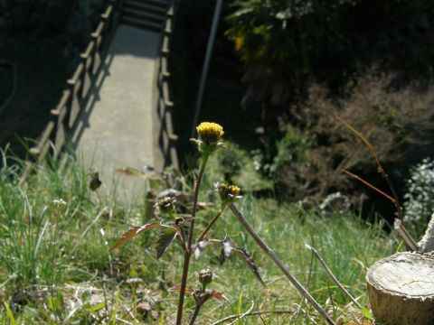 c0042869_21372061.jpg