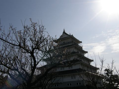 c0042869_21392145.jpg