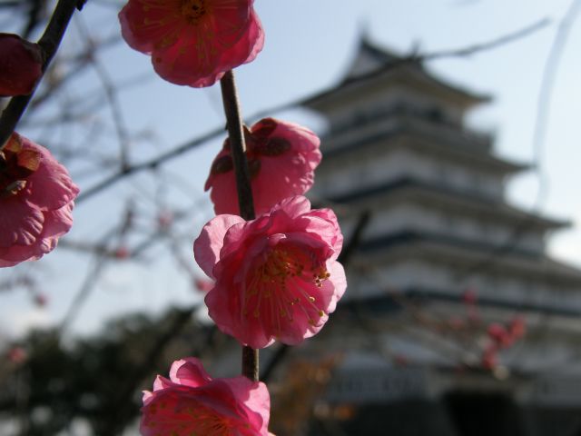 c0042869_21394072.jpg