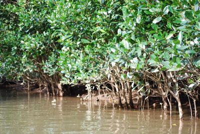 c0151875_011149.jpg