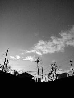 f0100480_2062890.jpg