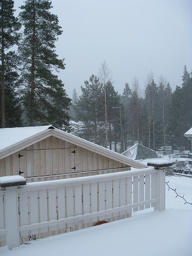 b0109289_08663.jpg