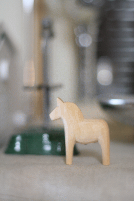 d0100192_20353790.gif