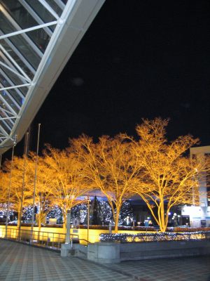 c0087094_2057376.jpg