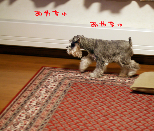 f0001895_163324100.jpg