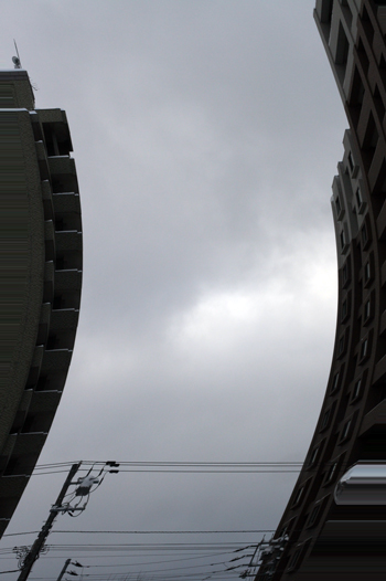 f0001895_1742739.jpg
