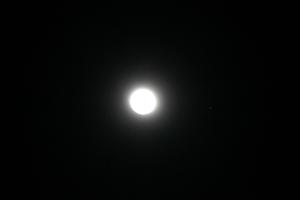 c0133498_8152111.jpg