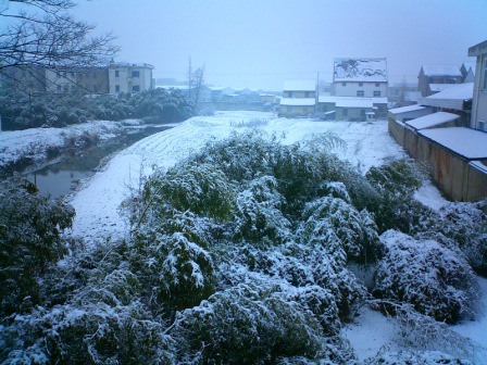 d0090300_19442150.jpg