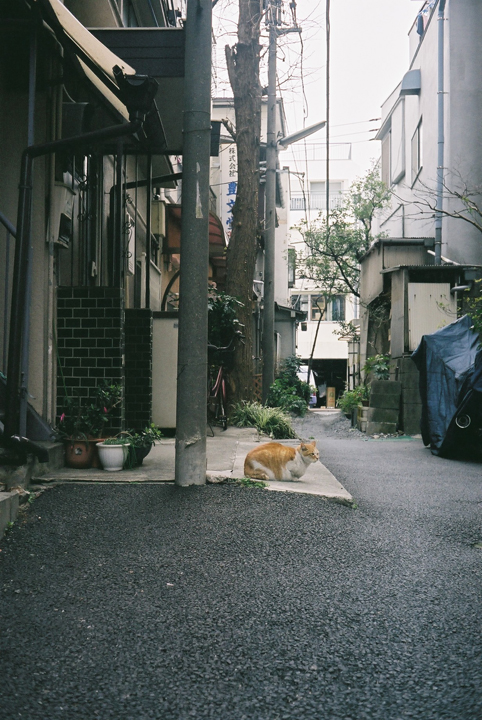 c0120903_283397.jpg