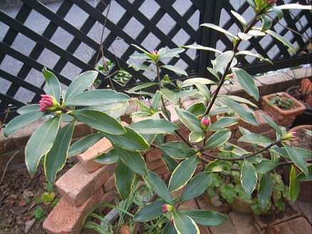 f0065604_2221880.jpg